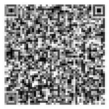 Vidhi Impression QR Code